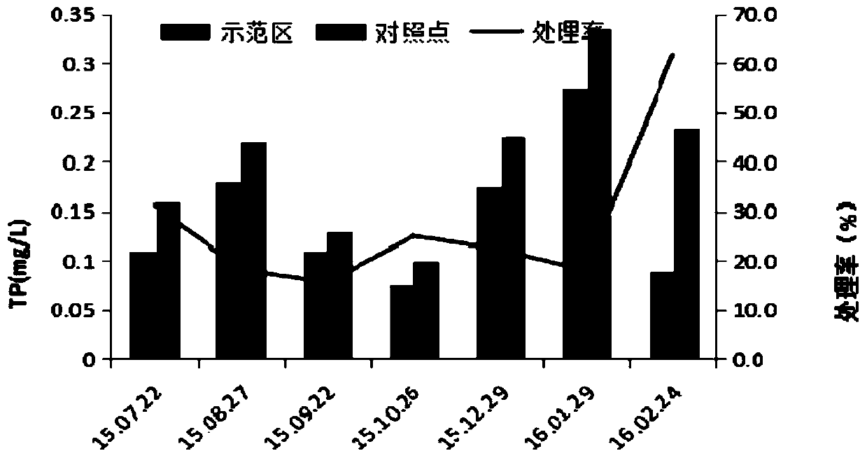 Regulation and stability maintenance method for shallow lake ecosystem