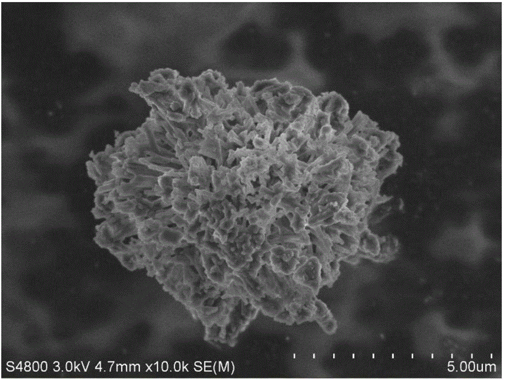 Preparation method and application of oxygen-doped graphite-phase carbon nitride ozone catalyst