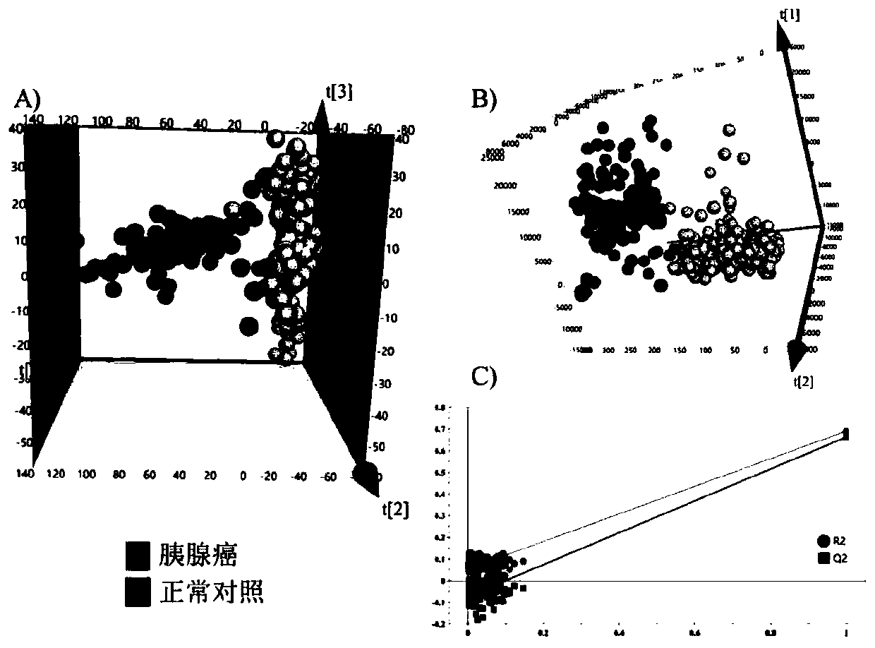 A pancreatic ductal adenocarcinoma marker and its screening method