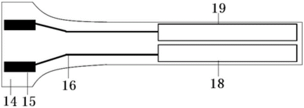 Microscale Glucose Sensor Microelectrodes