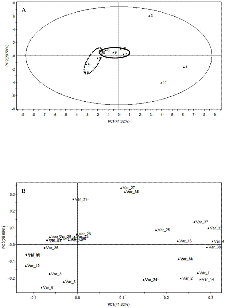 A kind of concentrated apple juice flavor quality discrimination method and its application