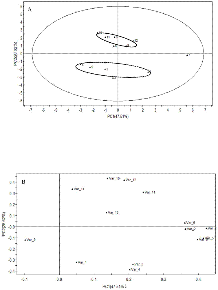 A kind of concentrated apple juice flavor quality discrimination method and its application