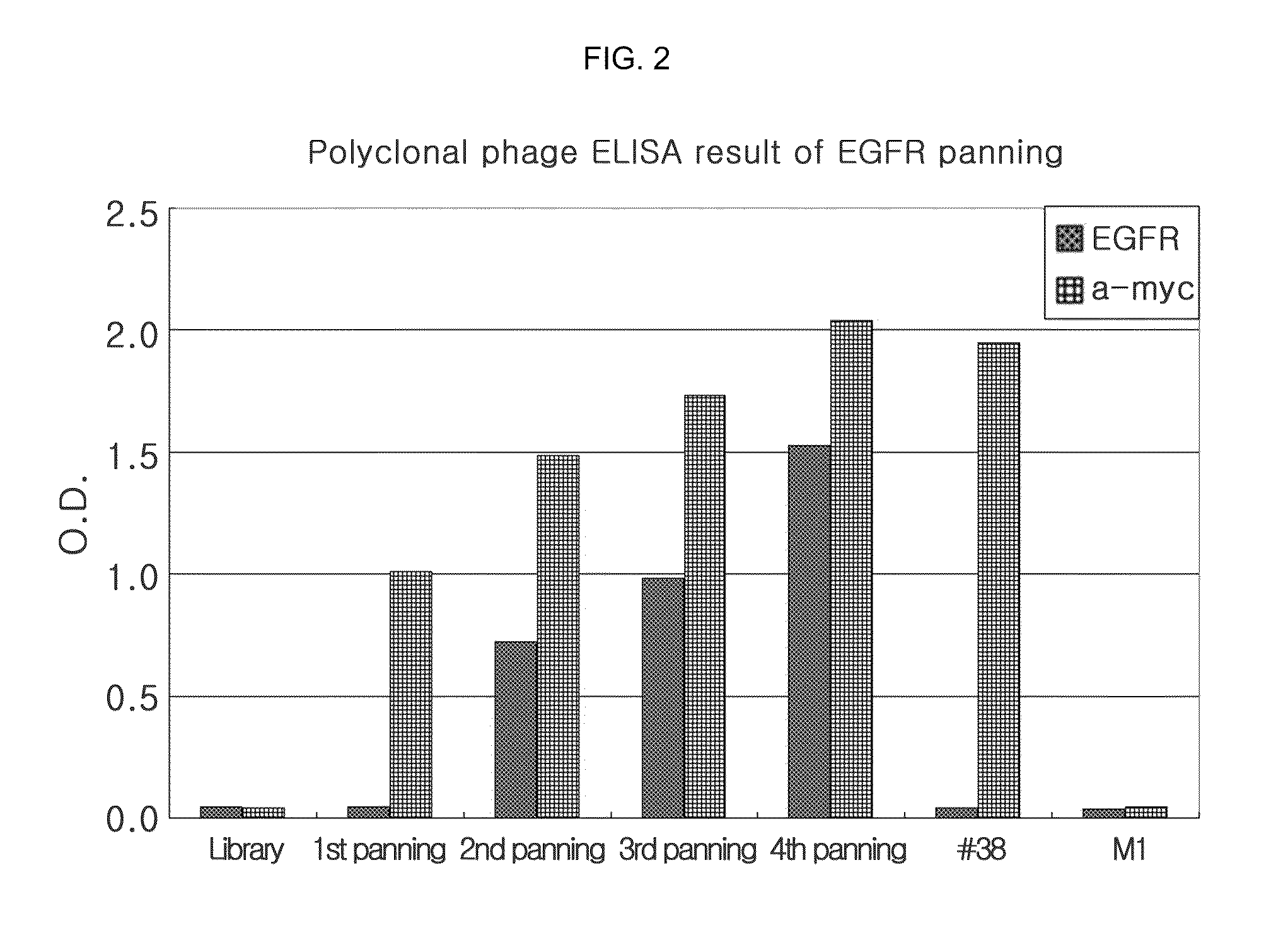 Fully human anti-epidermal growth factor receptor antibodies