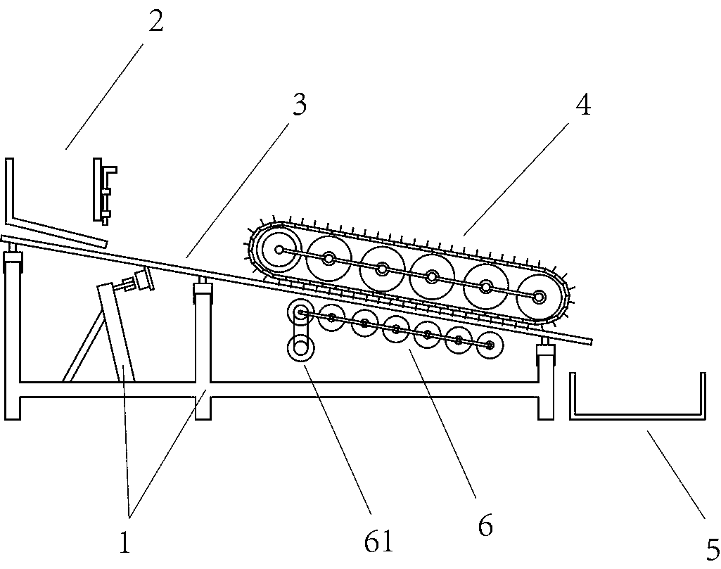 Directional tail cutting machine for margarya melanioides