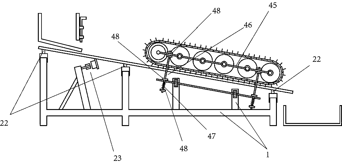 Directional tail cutting machine for margarya melanioides