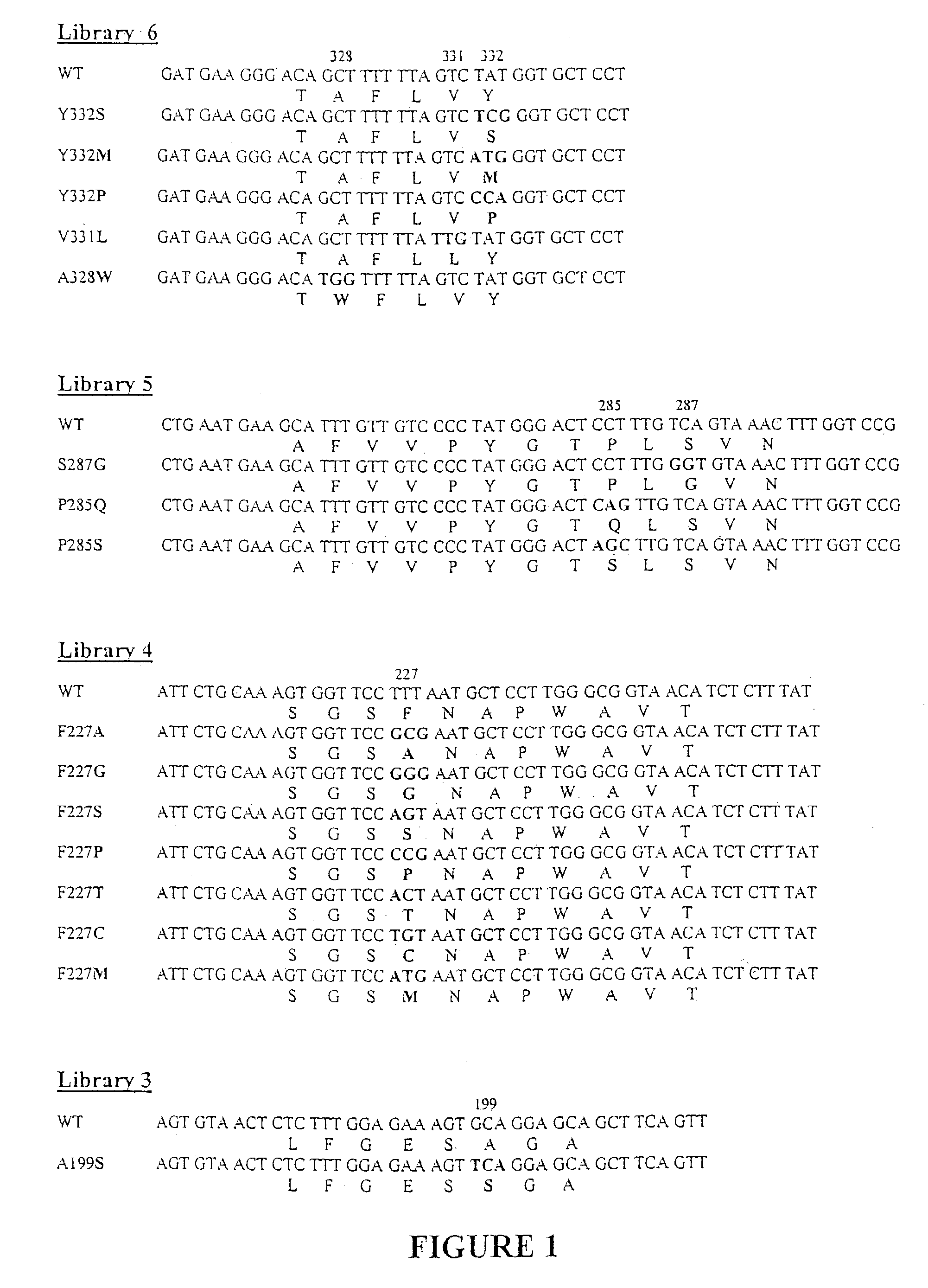 Butyrylcholinesterase variant polypeptides with increased catalytic efficiency and methods of use