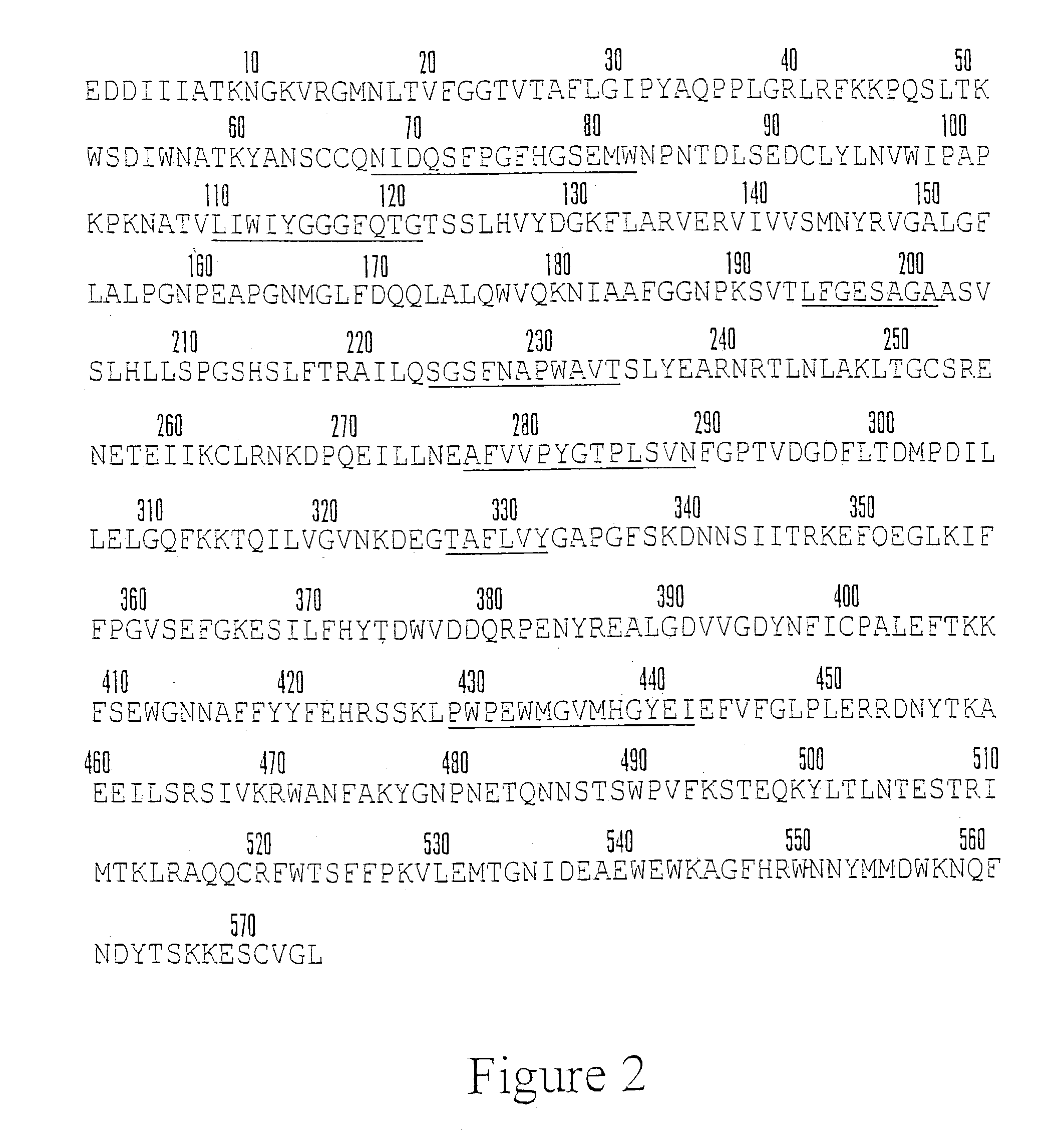 Butyrylcholinesterase variant polypeptides with increased catalytic efficiency and methods of use