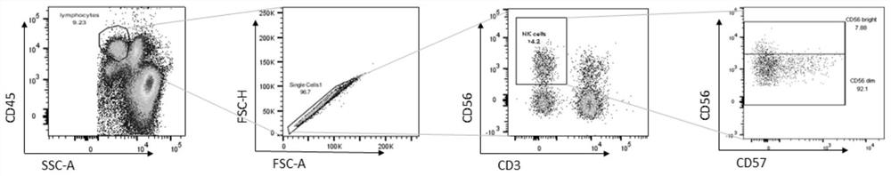 Research method for identifying NK cell depletion in bone marrow of AML patient and application of research method