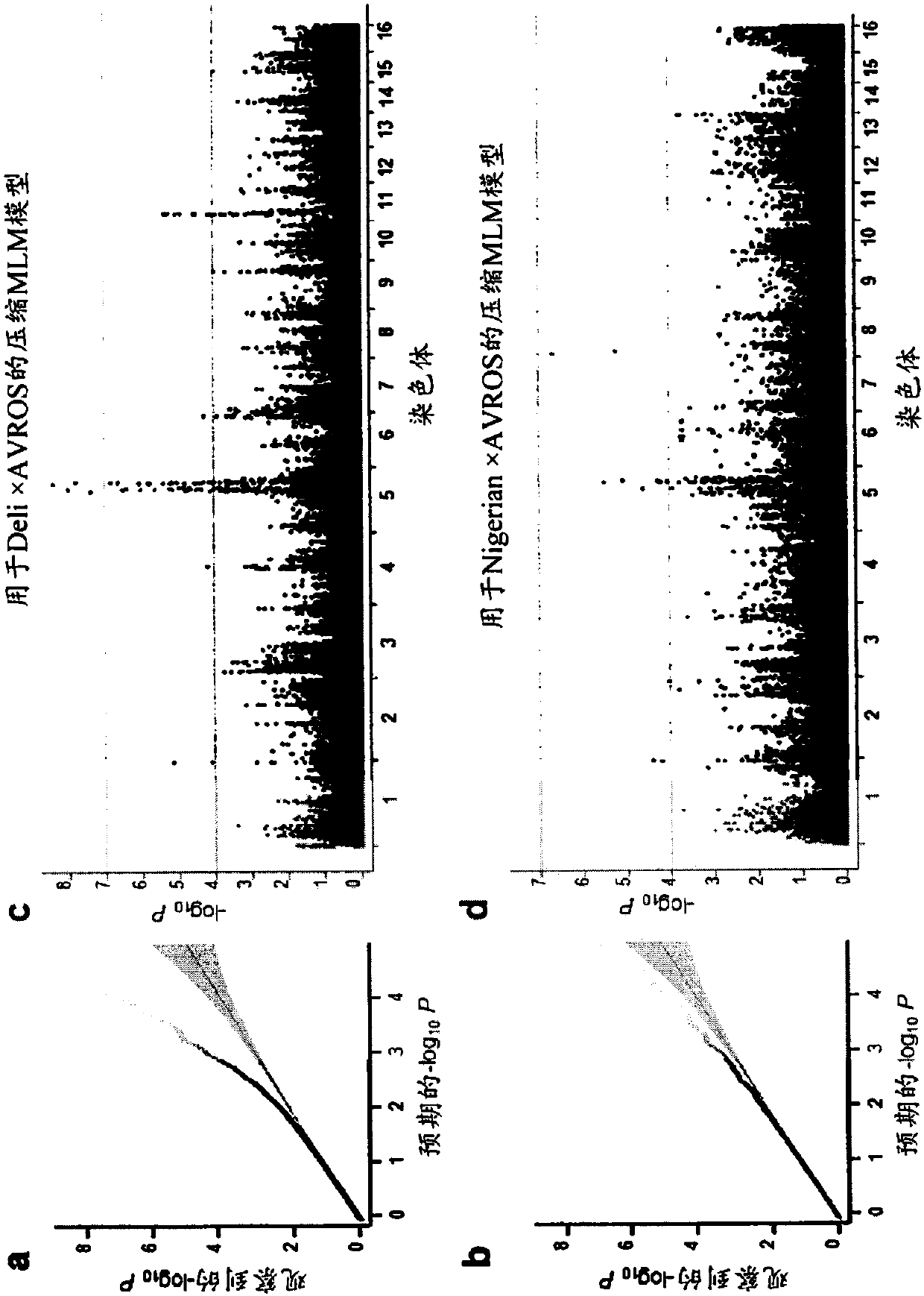 Methods and SNP detection kits for predicting palm oil yield of a test oil palm plant