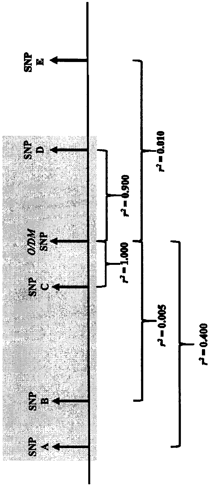 Methods and SNP detection kits for predicting palm oil yield of a test oil palm plant