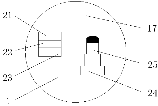 Cosmetic purification device