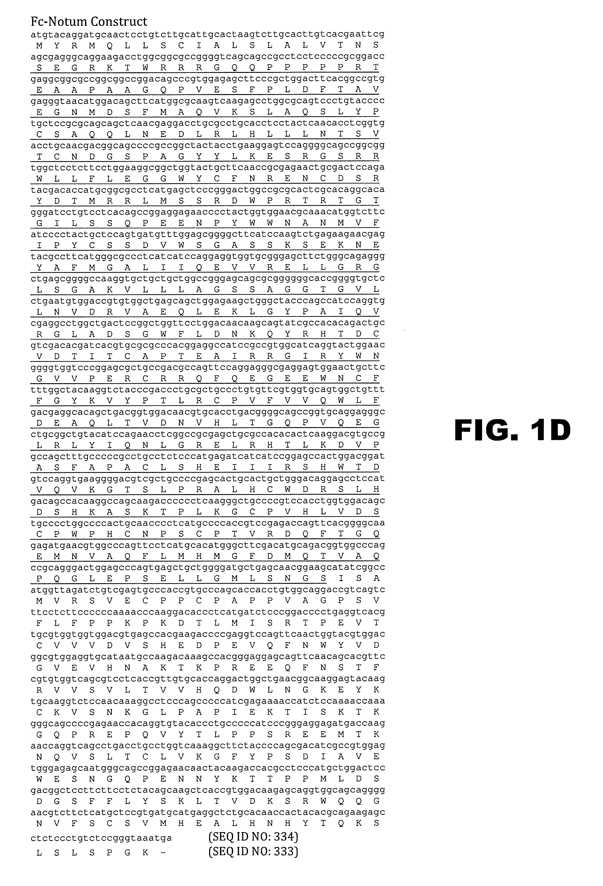 Notum protein modulators and methods of use