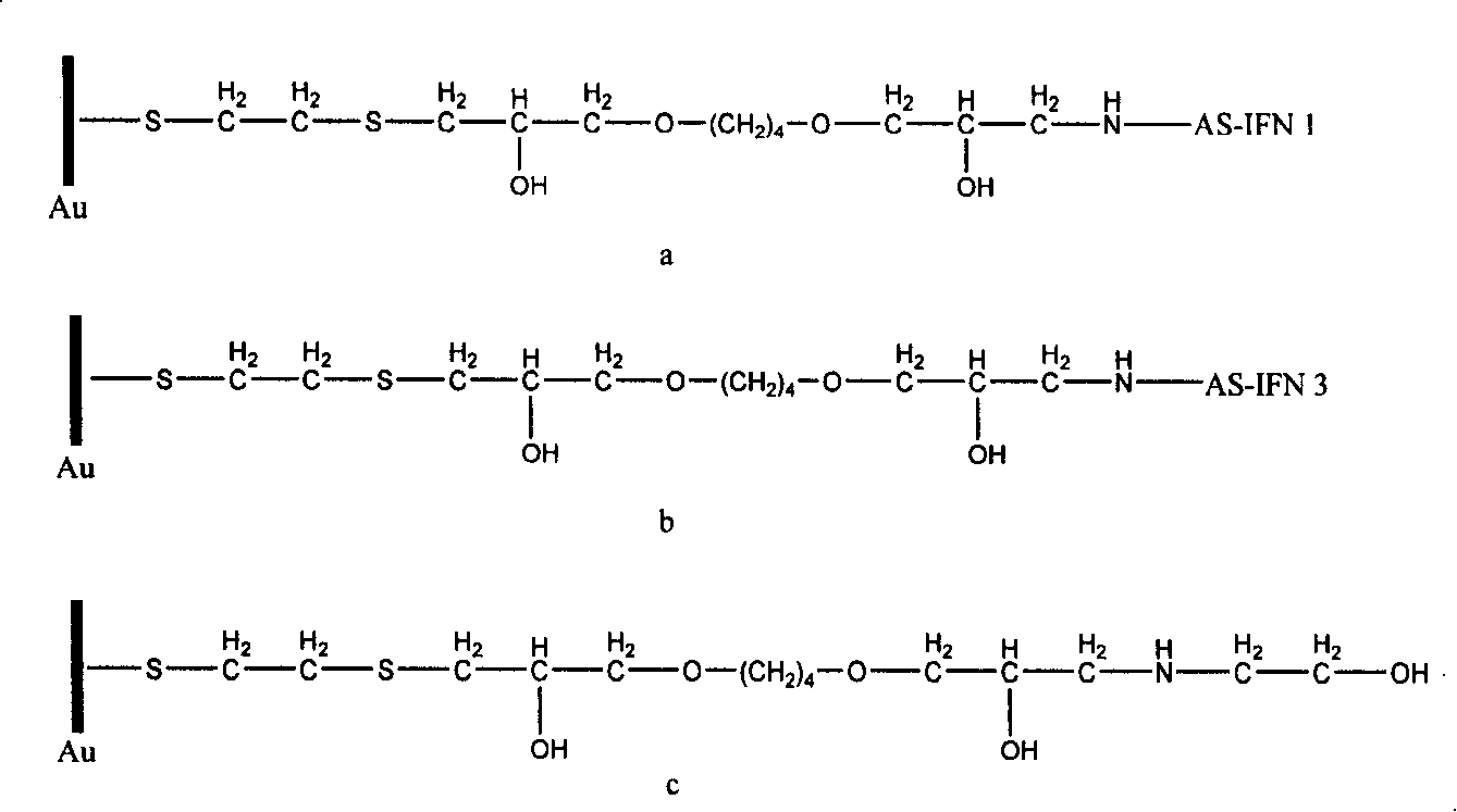 Biologic sensor for detecting human beta interferon and its special polypeptide