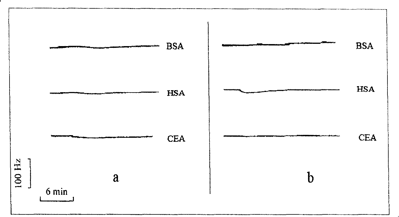 Biologic sensor for detecting human beta interferon and its special polypeptide