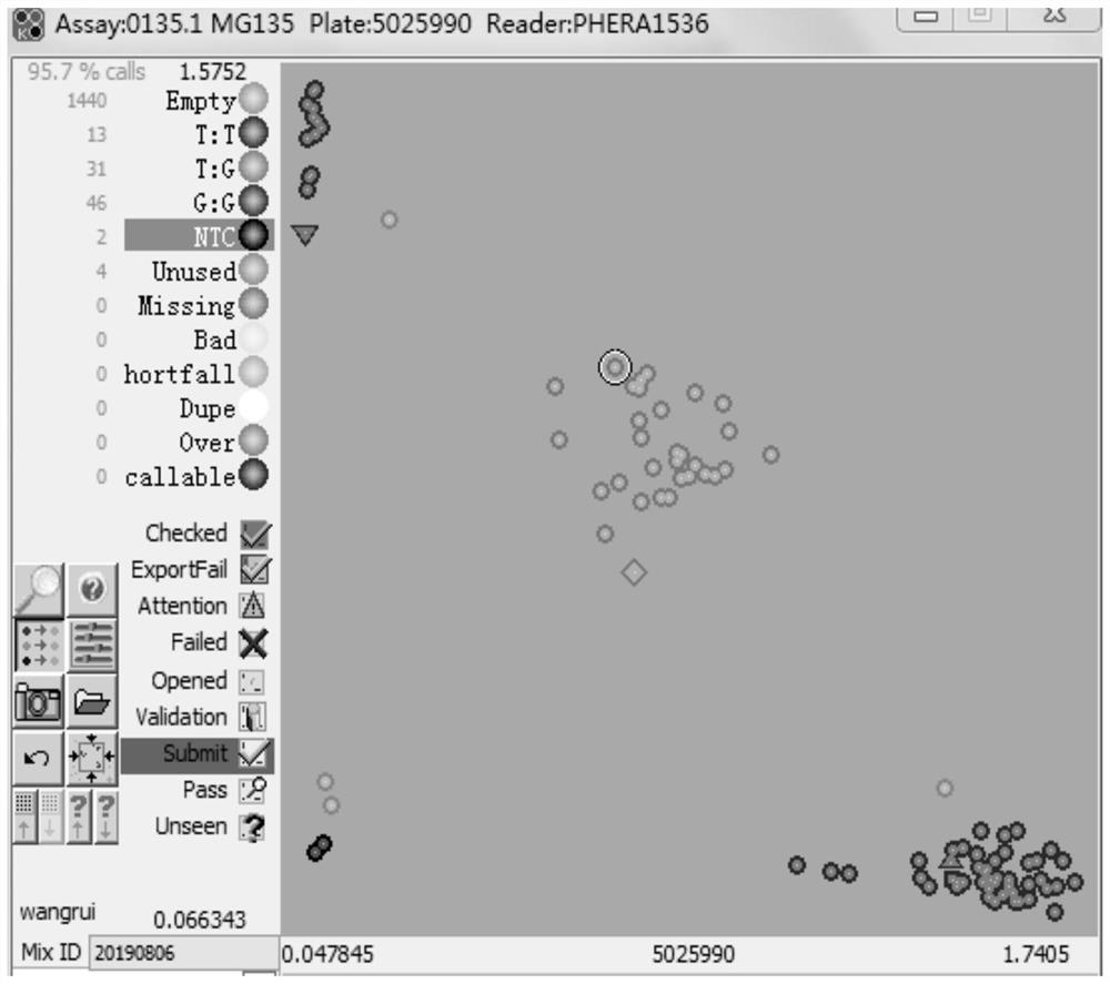 A method for identifying the purity of Jingke 968 corn hybrid based on SNP markers