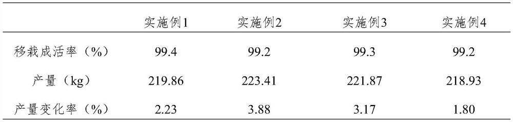 Growth promoting agent for breeding dendrobium nobile as well as preparation method and application of growth promoting agent