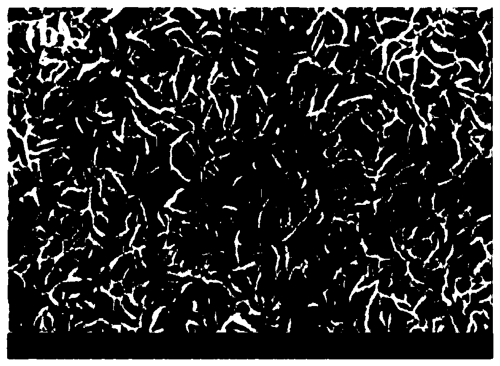 CNFs-loaded MoS2 novel magnesium-lithium double-salt battery positive electrode material and construction method thereof