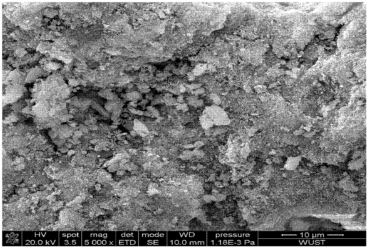 Enzyme imitation type water treatment agent for degrading polycycic/heterocyclic aromatic hydrocarbon, and preparation method for enzyme imitation type water treatment agent