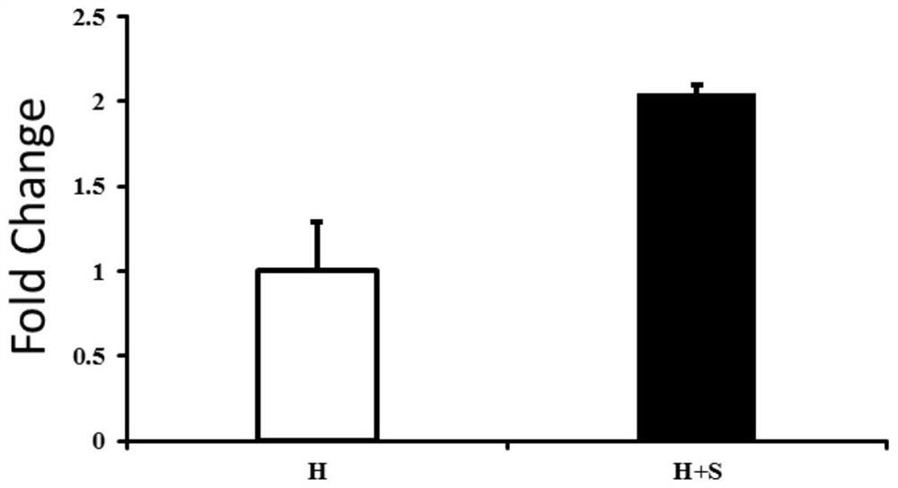 Recombinant bacterium for producing sulfo-recombinant hirudin as well as preparation method and application of recombinant bacterium