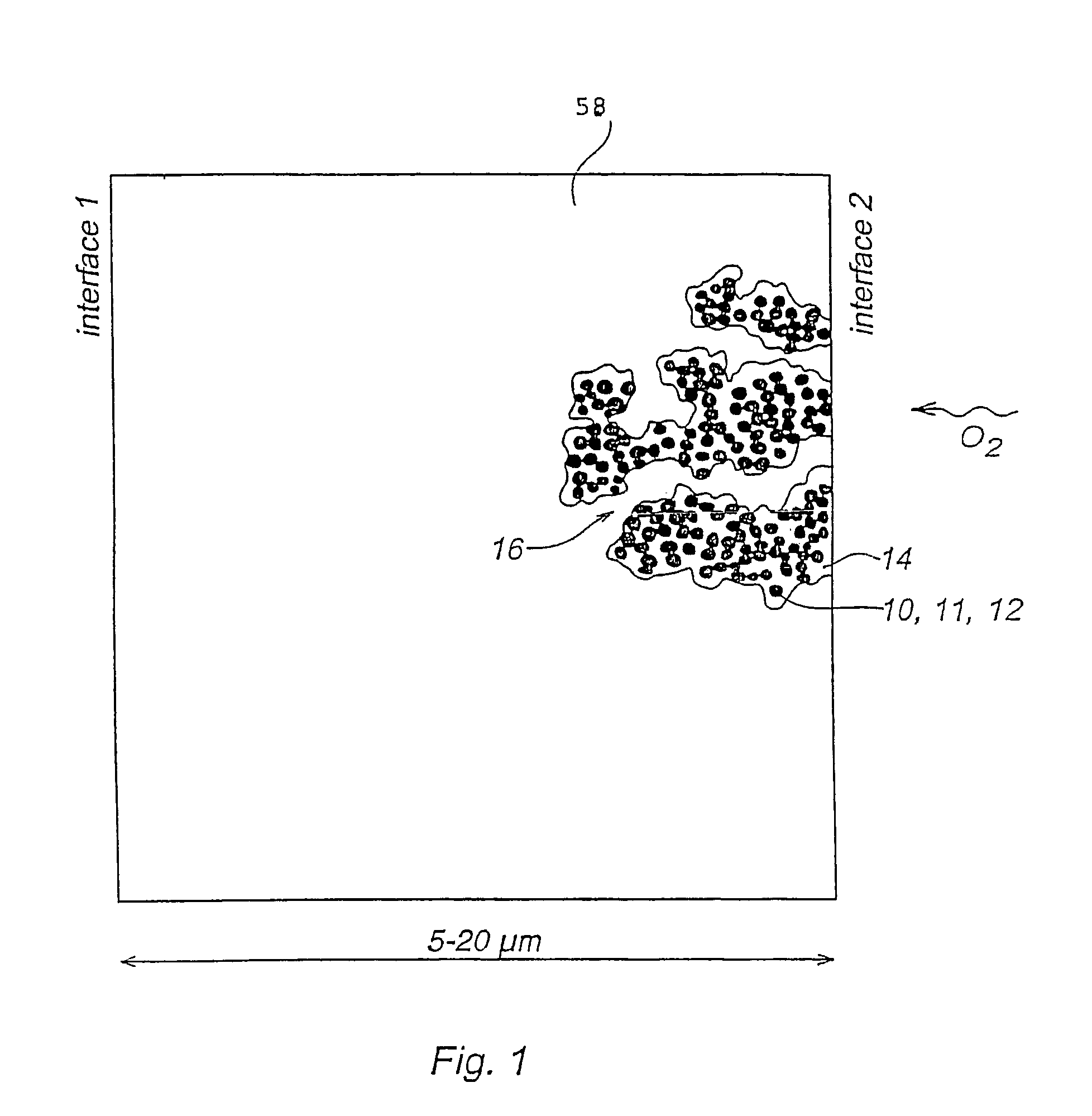 Cathode layer structure for a solid polymer fuel cell and fuel cell incorporating such structure