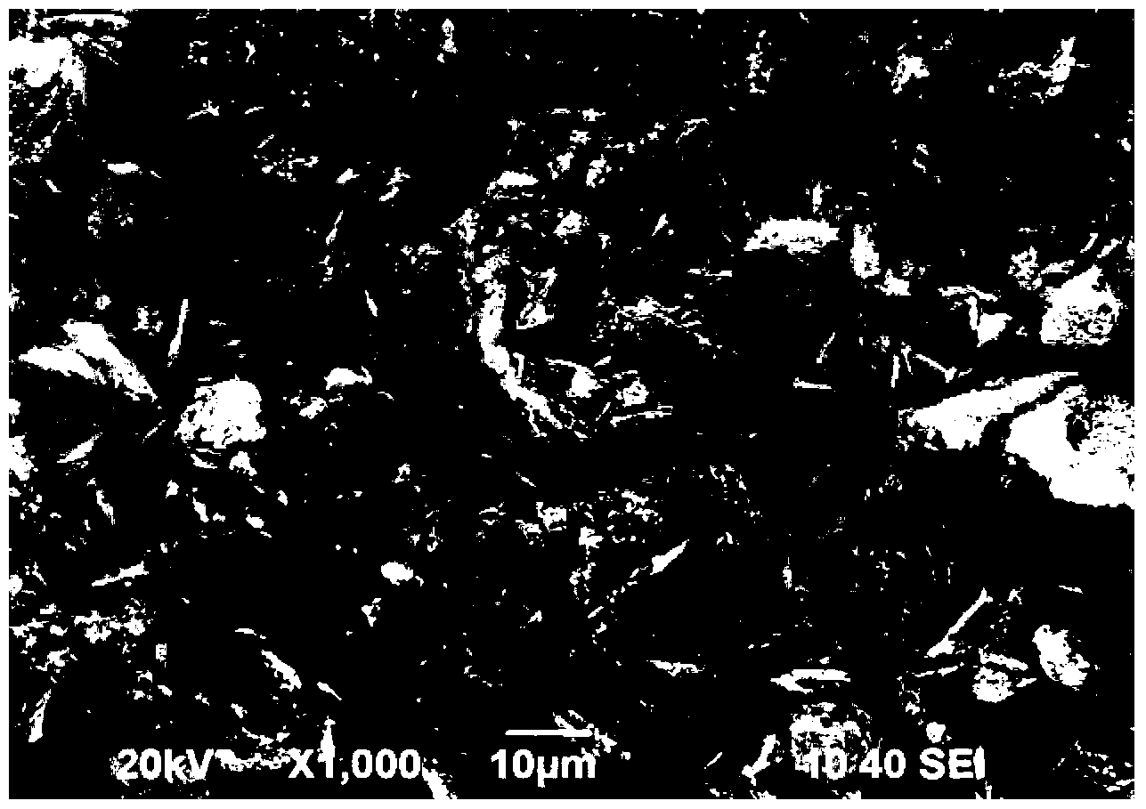 Silicon carbon negative electrode material, preparation method of silicon carbon negative electrode material and lithium ion battery