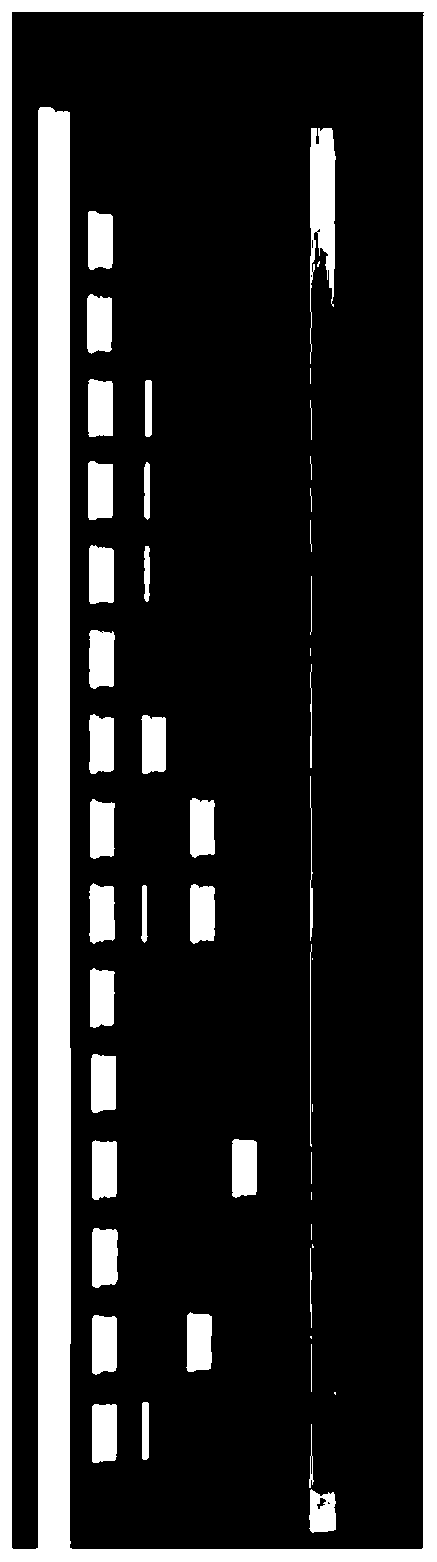 Portable urinalysis test paper capable of reducing interference