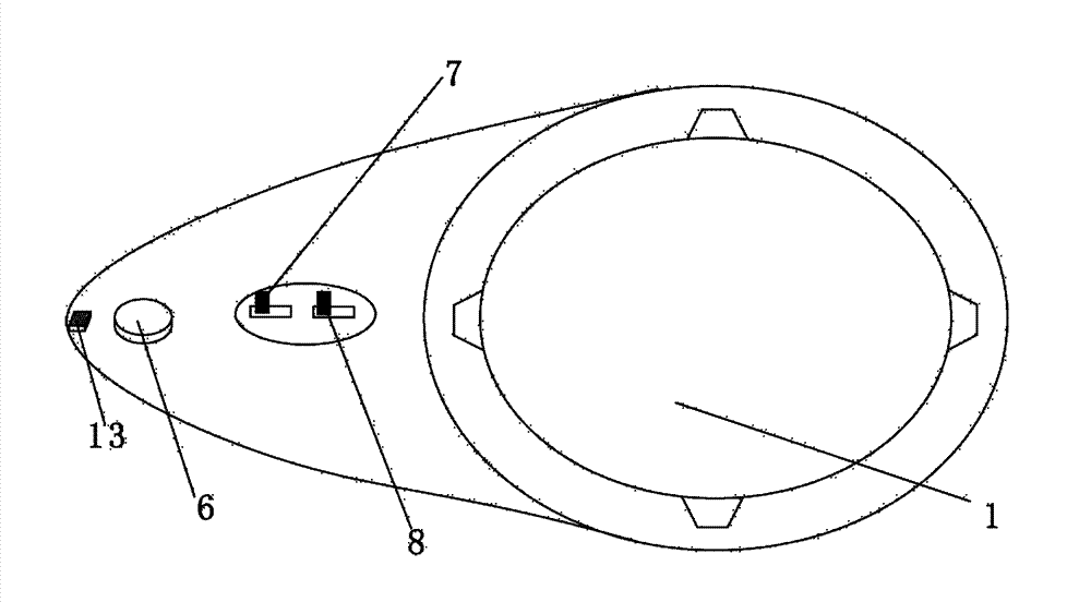 Novel geological magnifier