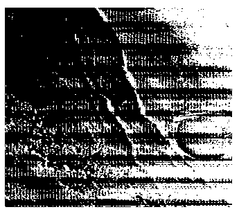 Filtering method for sea surface stripe noise and sea surface stripe cloud in moderate resolution imaging spectroradiometer (MODIS) remote sensing image