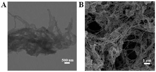 Covalent organic framework material and preparation method and application thereof in fluorescence sensor