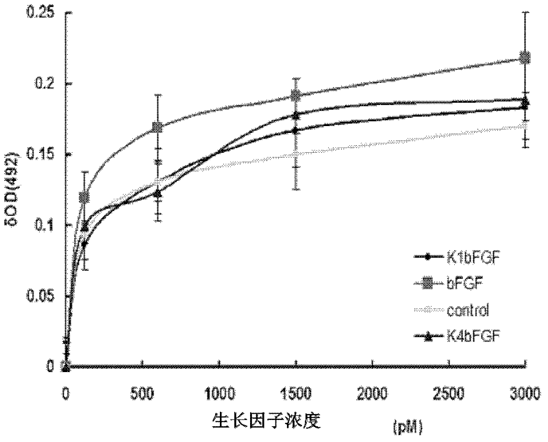 Recombinant protein specifically bound with fibrin and application thereof