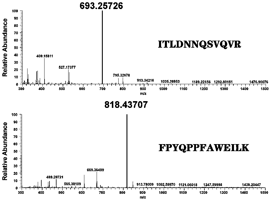 Method for detecting apis mellifera and apis cerana glucose dehydrogenase in honey through liquid chromatography-tandem mass spectrometry