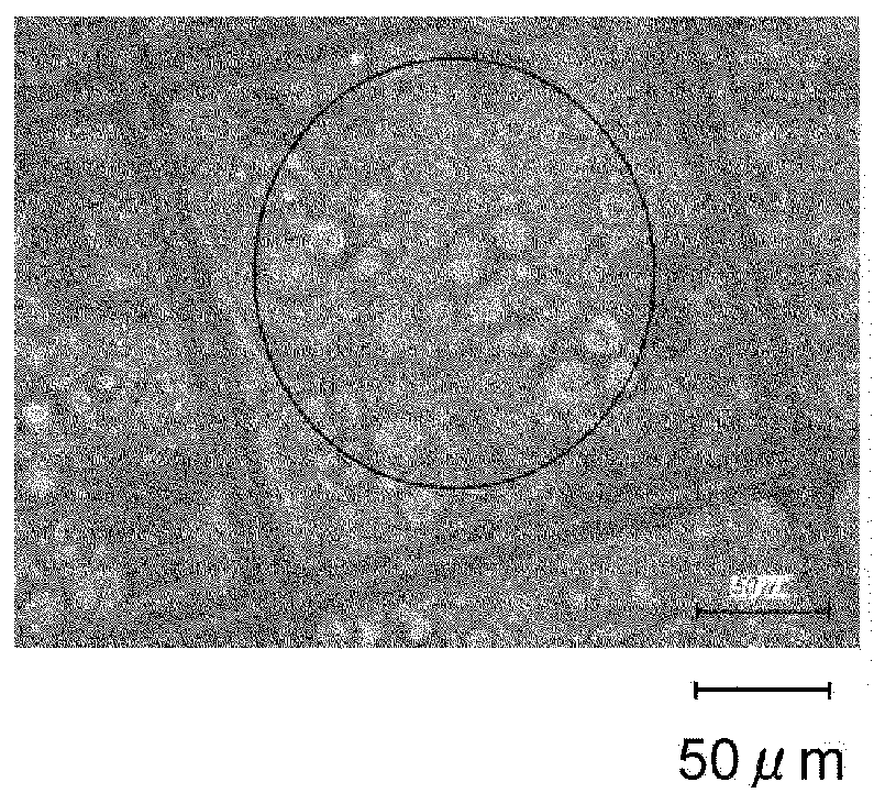 Culture method, group of mature adipocytes, and drug screening method