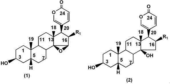 Specific probe substrate for cytochrome P450 3A4 enzyme and application of substrate