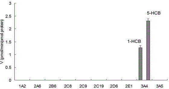 Specific probe substrate for cytochrome P450 3A4 enzyme and application of substrate