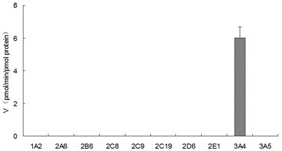 Specific probe substrate for cytochrome P450 3A4 enzyme and application of substrate