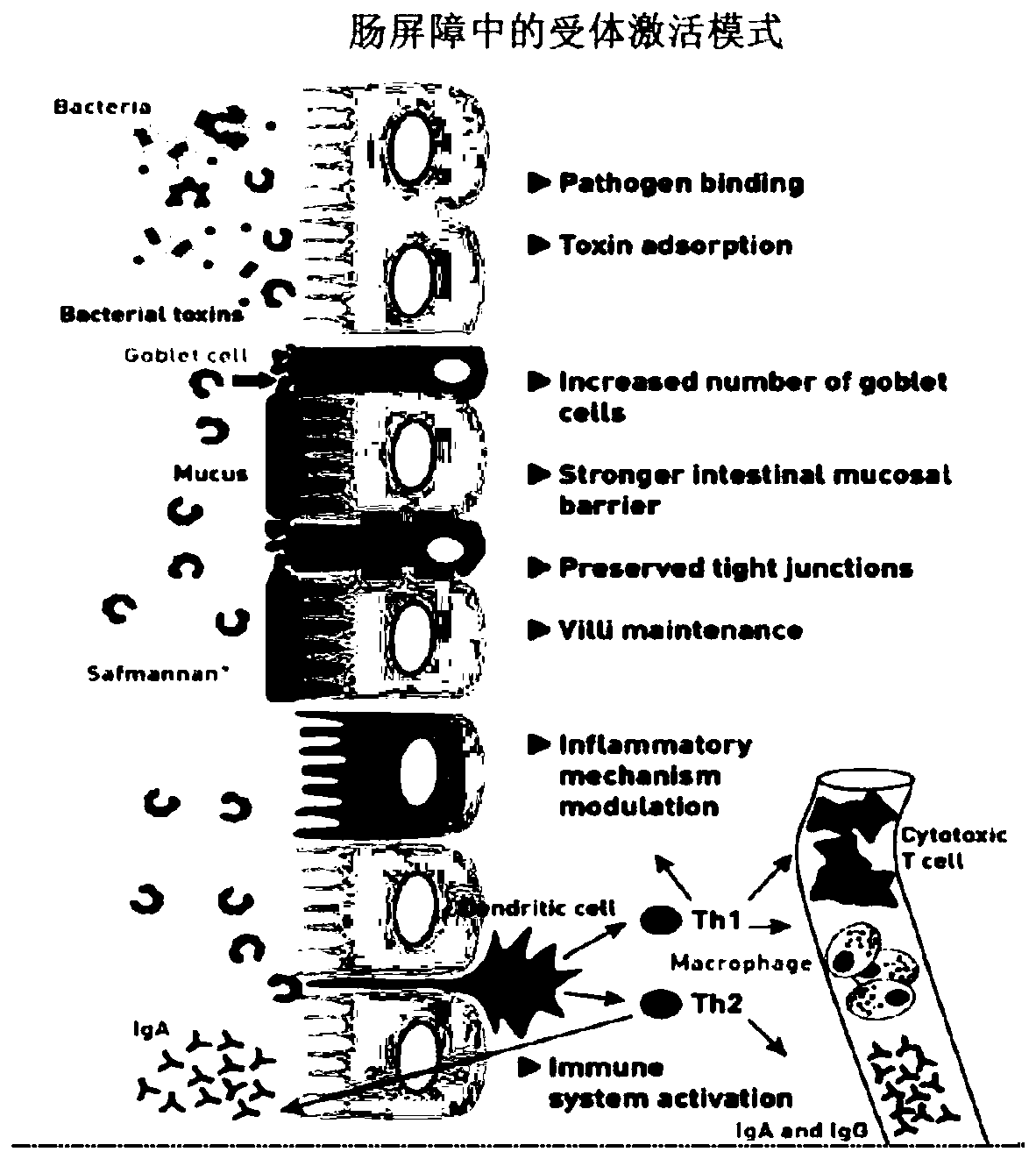 Compound additive for providing comprehensive health-care function for pet food