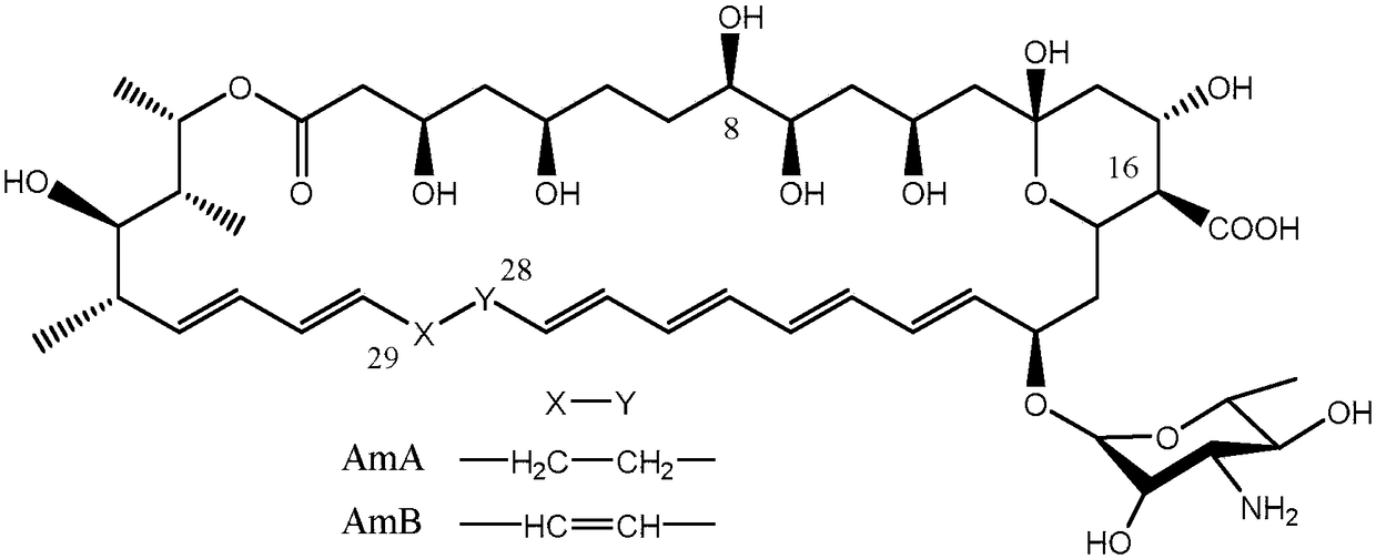 Recombinant streptomyces nodosus with high yield of amphotericin B and applications of recombinant streptomyces nodosus