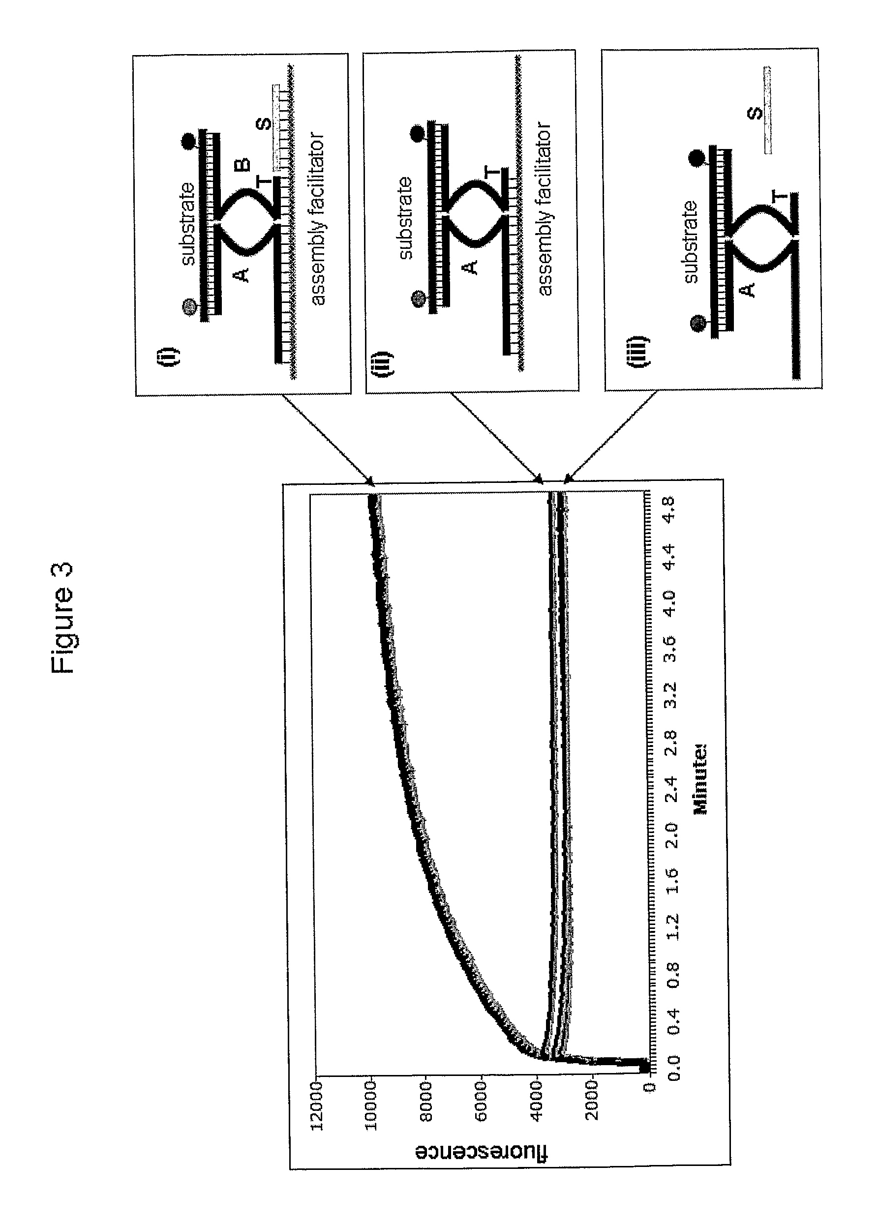 Molecular switches and methods for their use