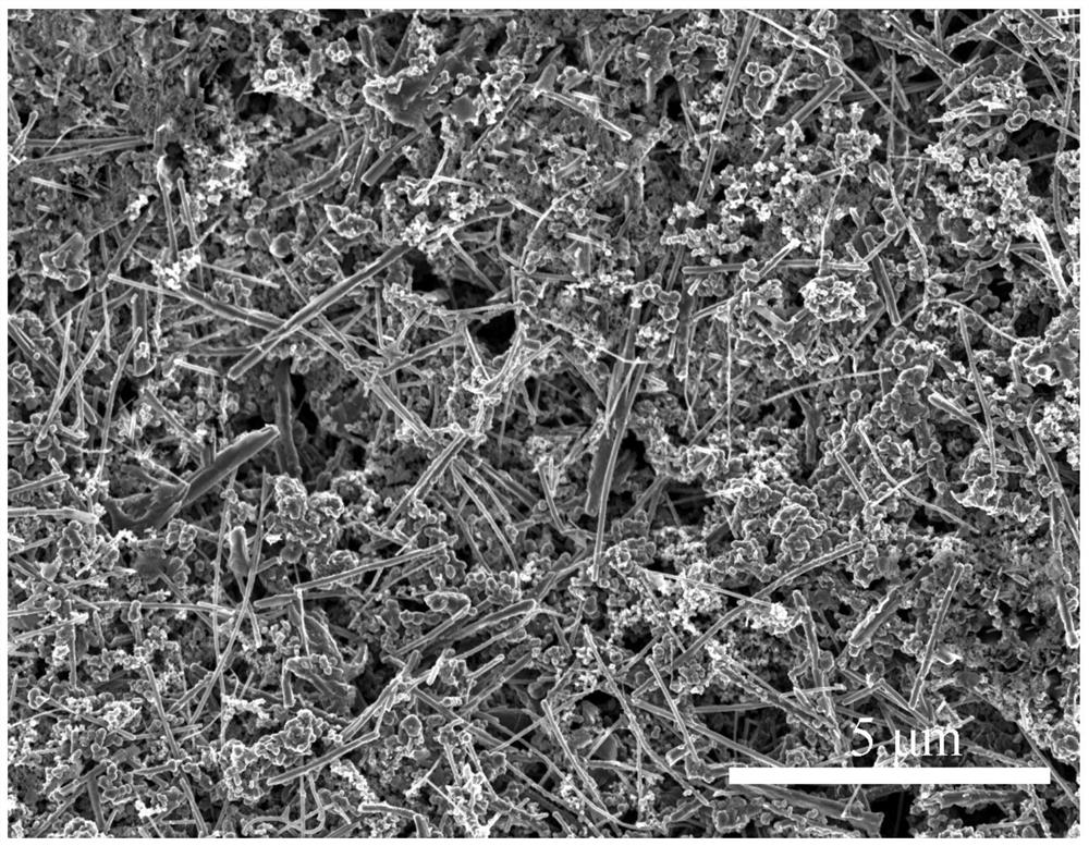 Silicon-carbon composite material, preparation method thereof and lithium ion battery