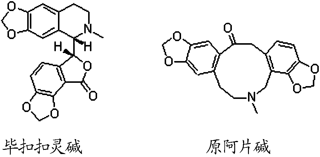 Preparation method of bicuculline and fumarine