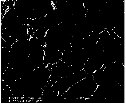 Fish skin collagen based composite sponge and preparation method thereof