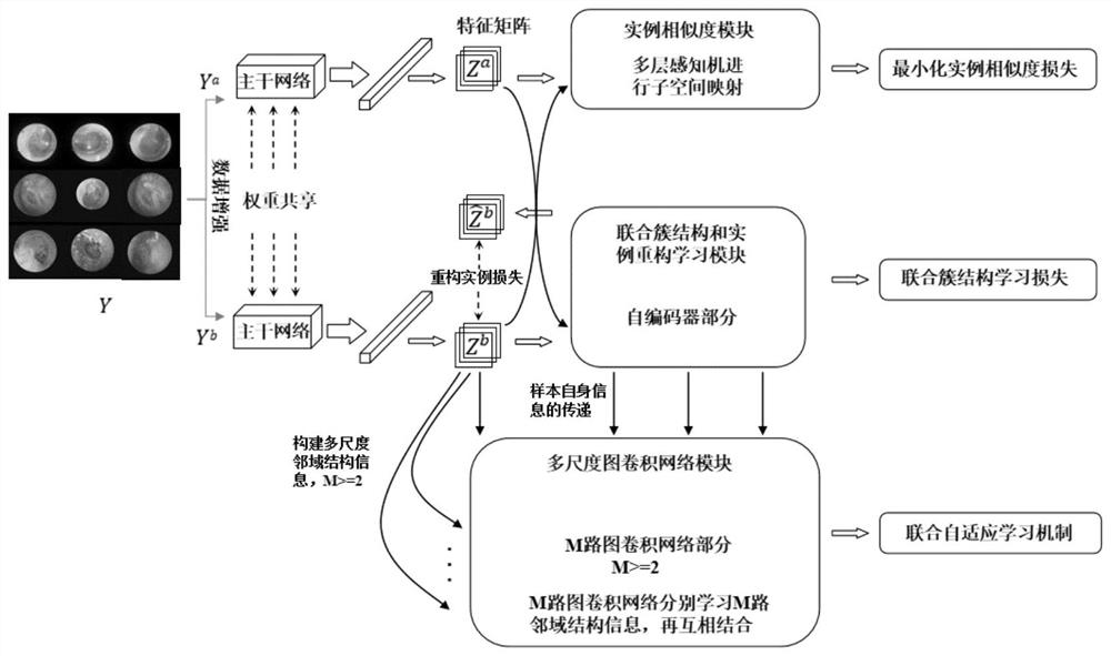 Deep medical image clustering method based on multi-scale structure learning