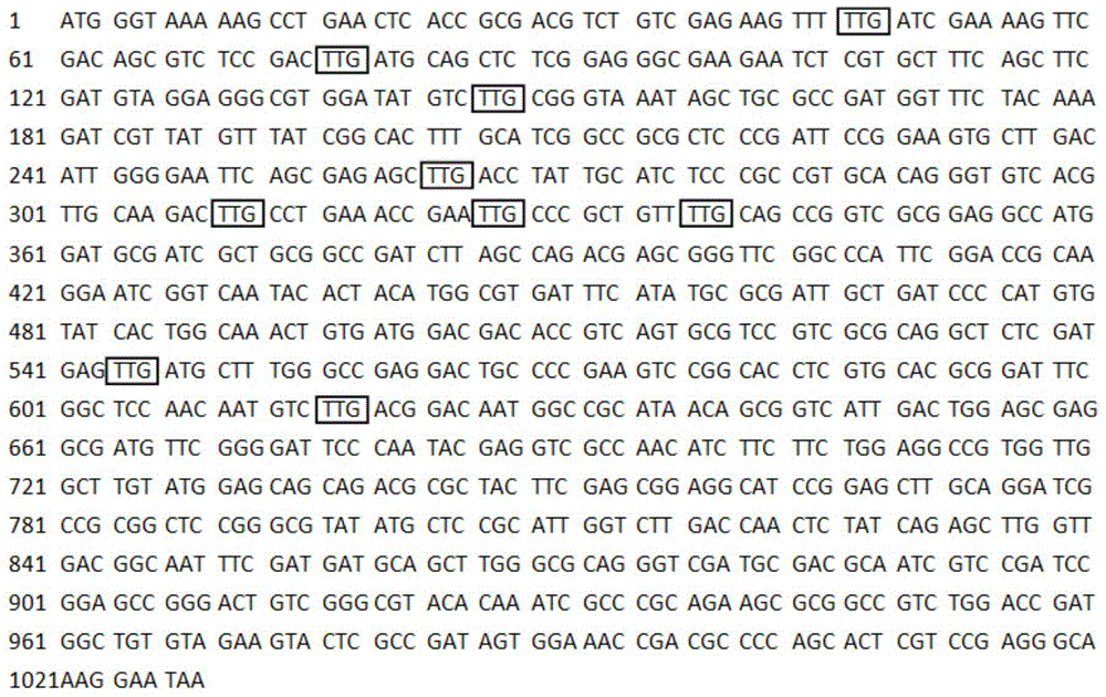 Expression system of yeast namely Candida jeffriesii capable of using xylose