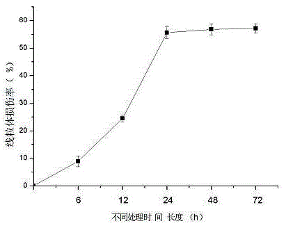 Method for screening mitochondria targeted compounds by using zebra fish