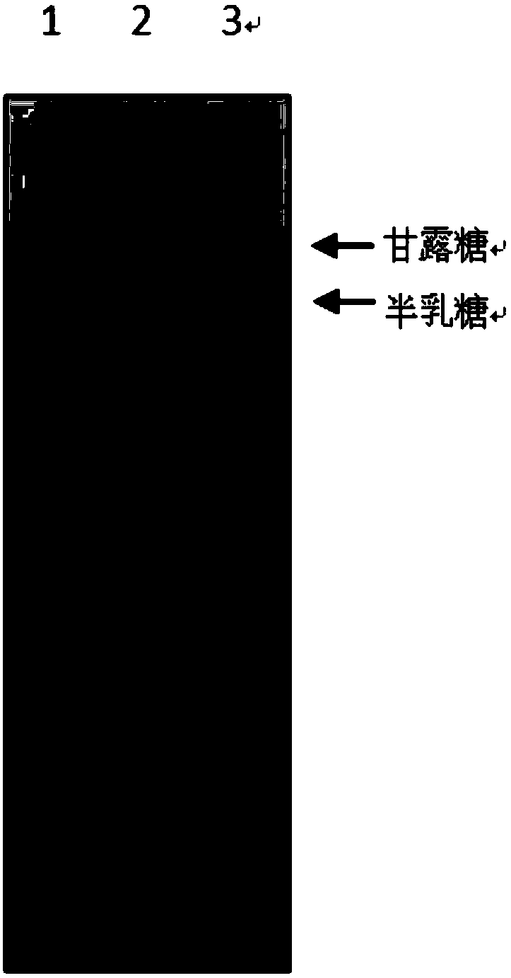 Enzymatic-degradation galactomannan product as well as preparation method and application thereof