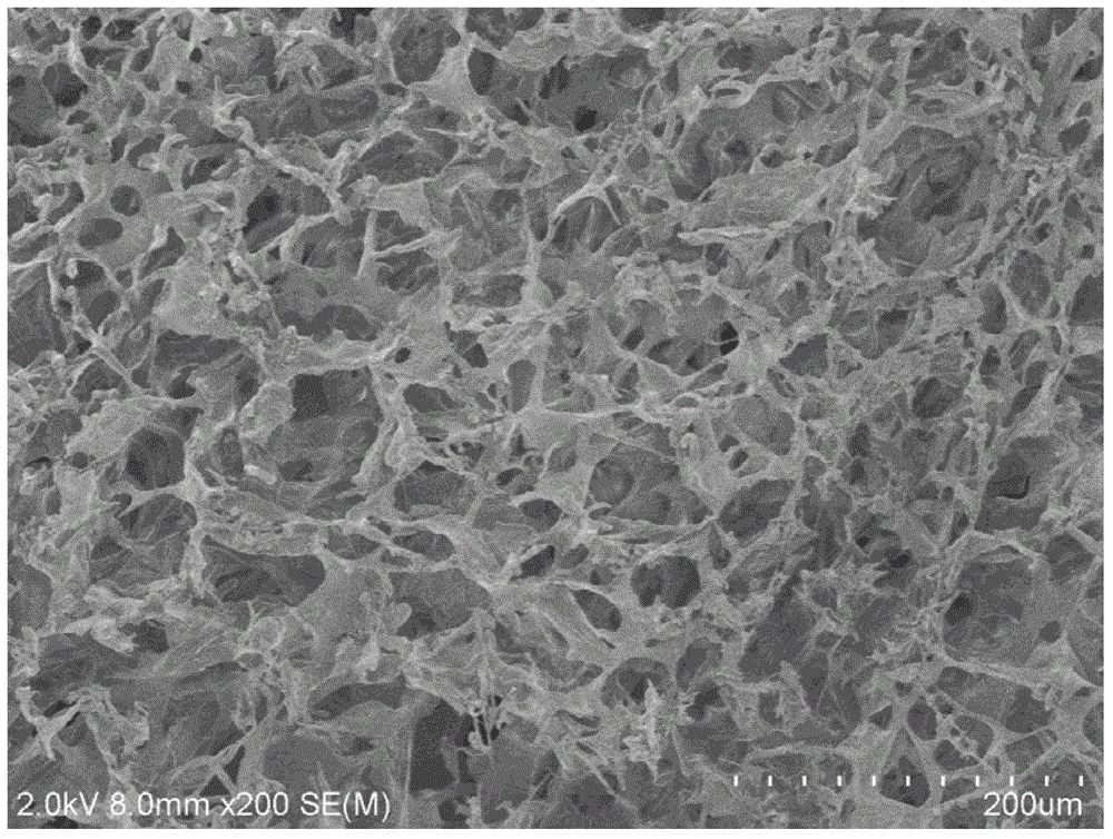 Corium tissue bionic sponge preparation method