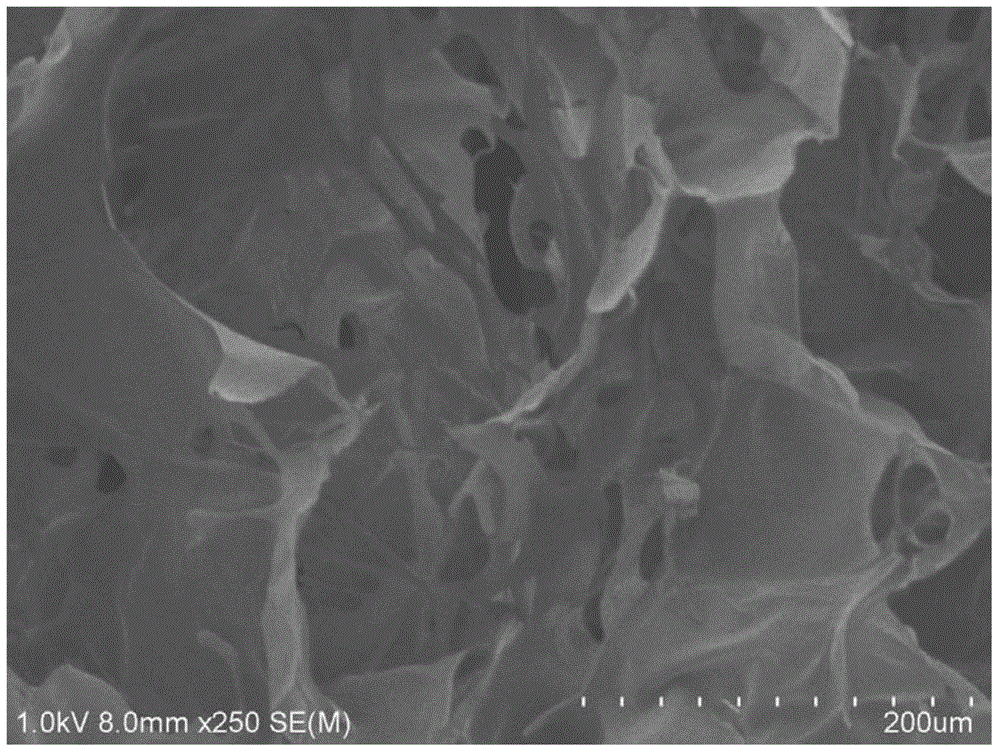 Corium tissue bionic sponge preparation method