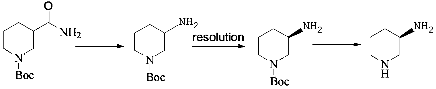 Preparation method of amino protection (R)-3-amino piperidine