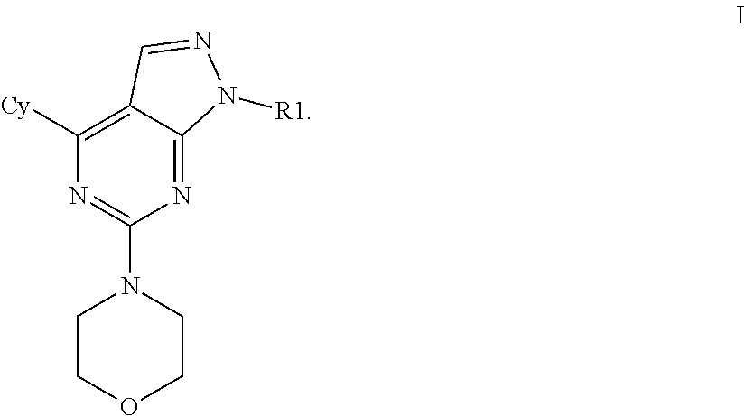 mTOR SELECTIVE KINASE INHIBITORS