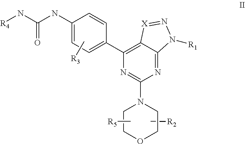 mTOR SELECTIVE KINASE INHIBITORS